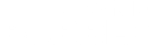 La fiebre de los peluches Beanie