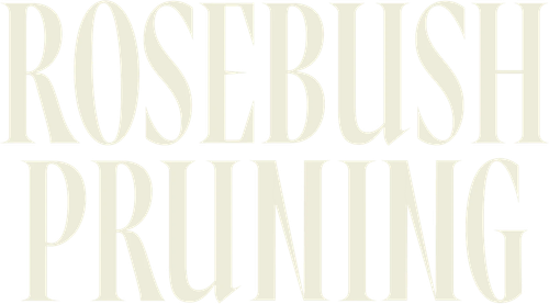 Rosebush Pruning