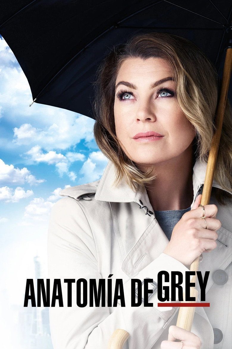 Grey's Anatomy Season 12