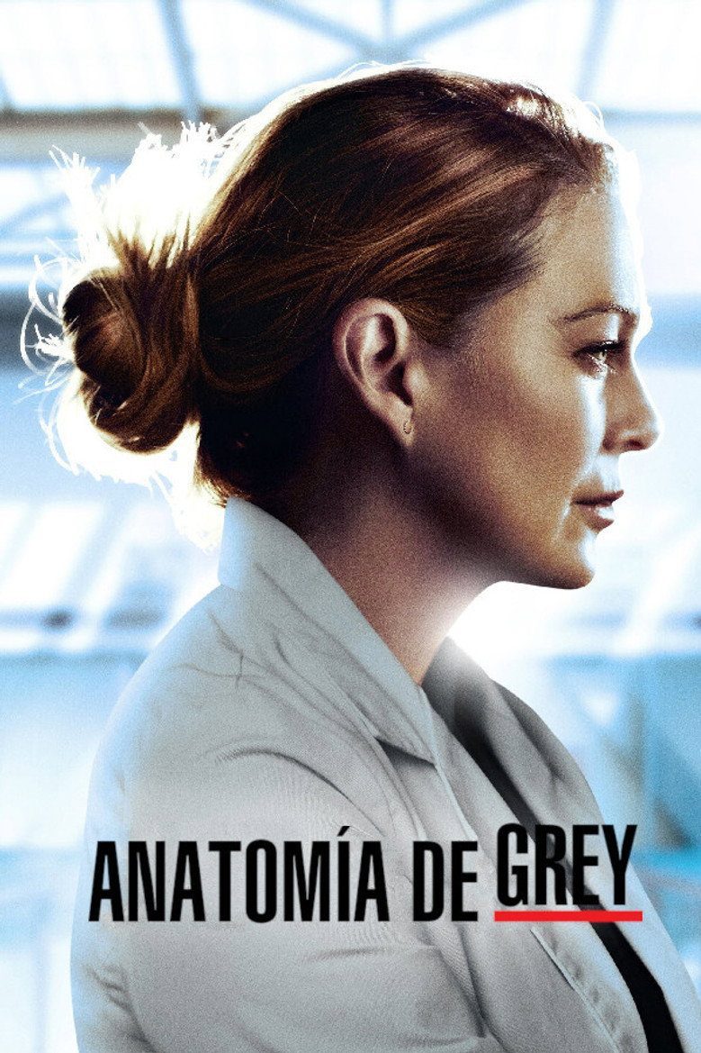 Grey's Anatomy Season 17
