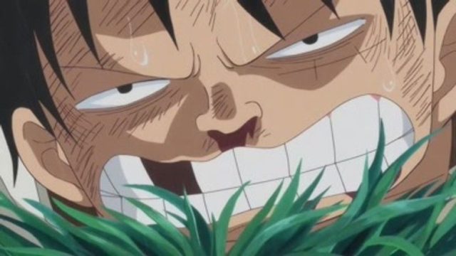 One Piece S19E811