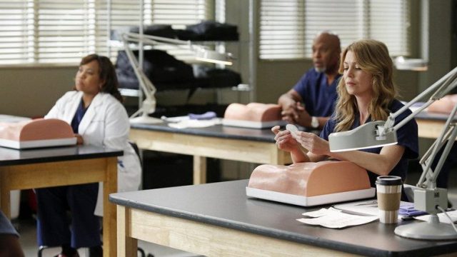 Anatomía según Grey S09E13
