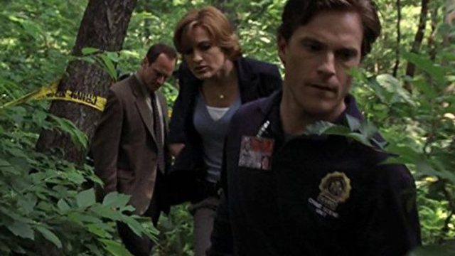 La Ley y el Orden: Unidad de Víctimas Especiales S06E04