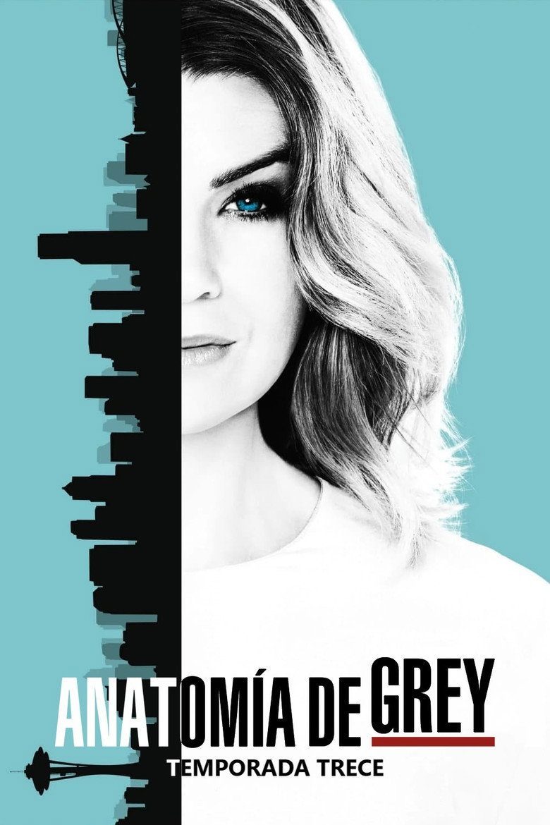 Grey's Anatomy Season 13