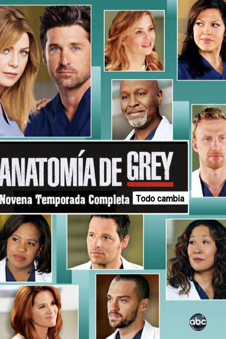 Anatomía según Grey Temporada 9