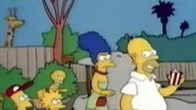 Los Simpson S00E29