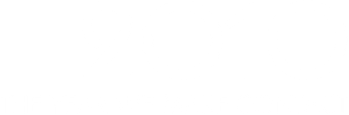 2010