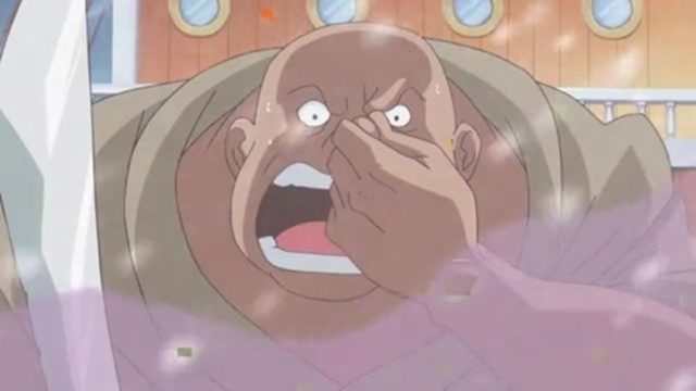 One Piece S15E596