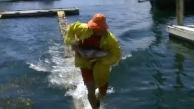 The Challenge S04E03