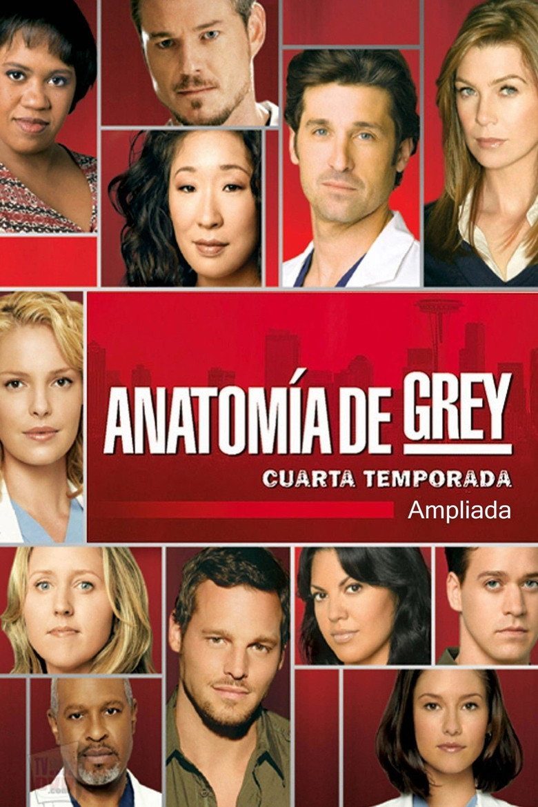 Anatomía según Grey Temporada 4