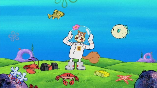 SpongeBob SquarePants S11E05