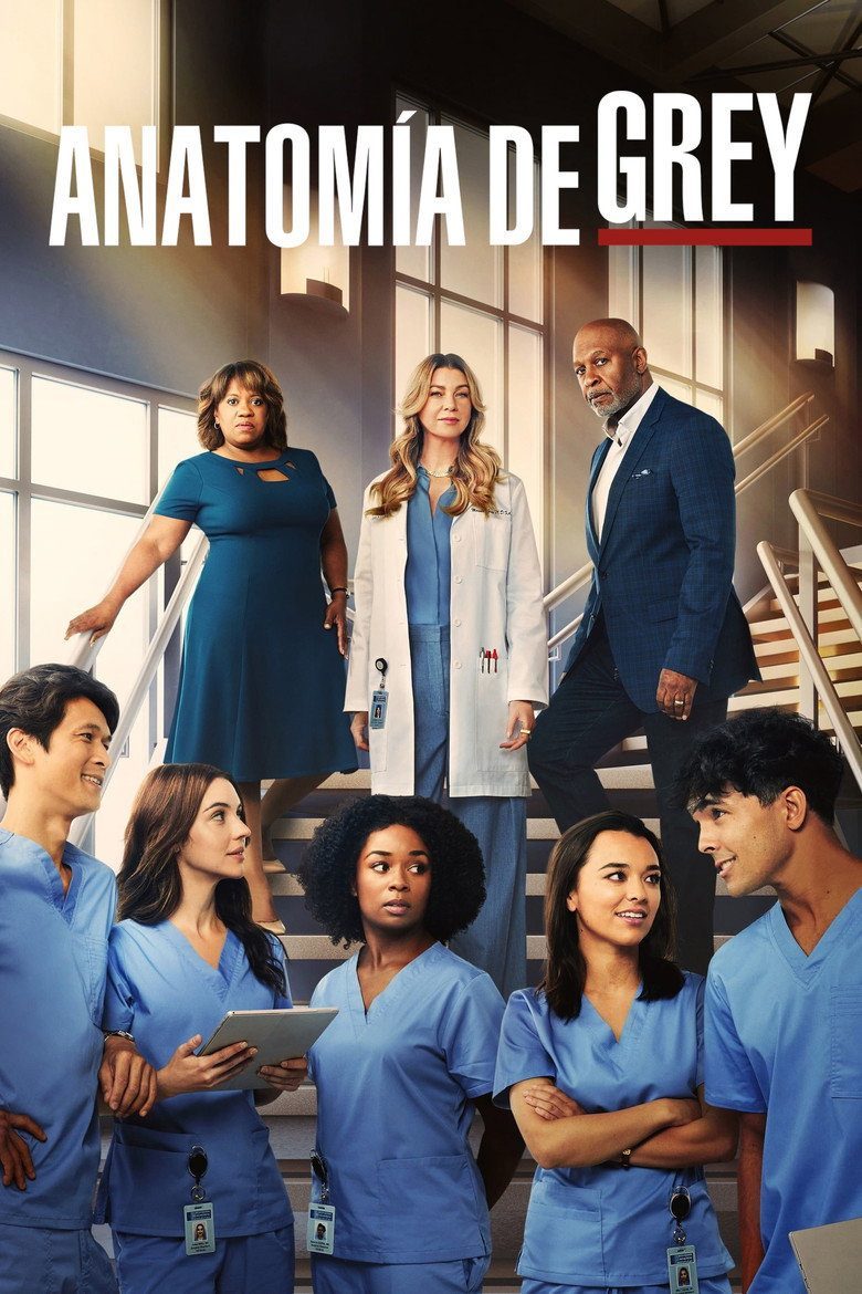Grey's Anatomy Season 19