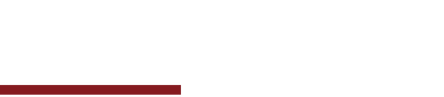 Anatomía según Grey