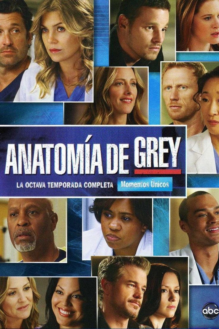 Anatomía según Grey Temporada 8
