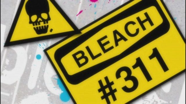 Bleach S01E311