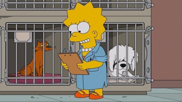 Los Simpson S27E15