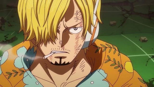 One Piece S22E1142