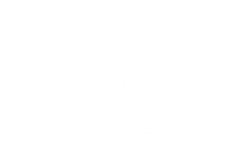 Big Hero 6