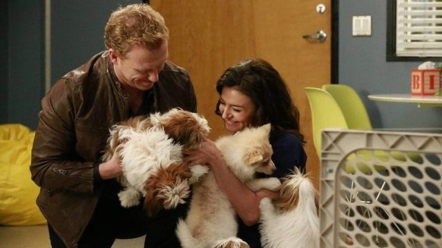 Grey's Anatomy S12E14