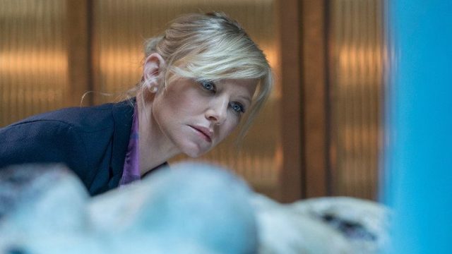 Law & Order: Special Victims Unit S17E01