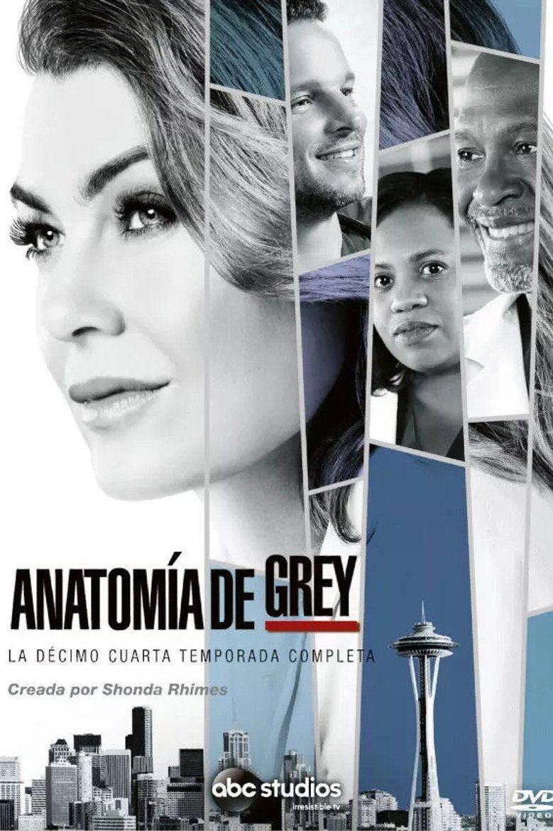 Grey's Anatomy Season 14