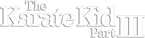 Karate Kid III: El desafío final