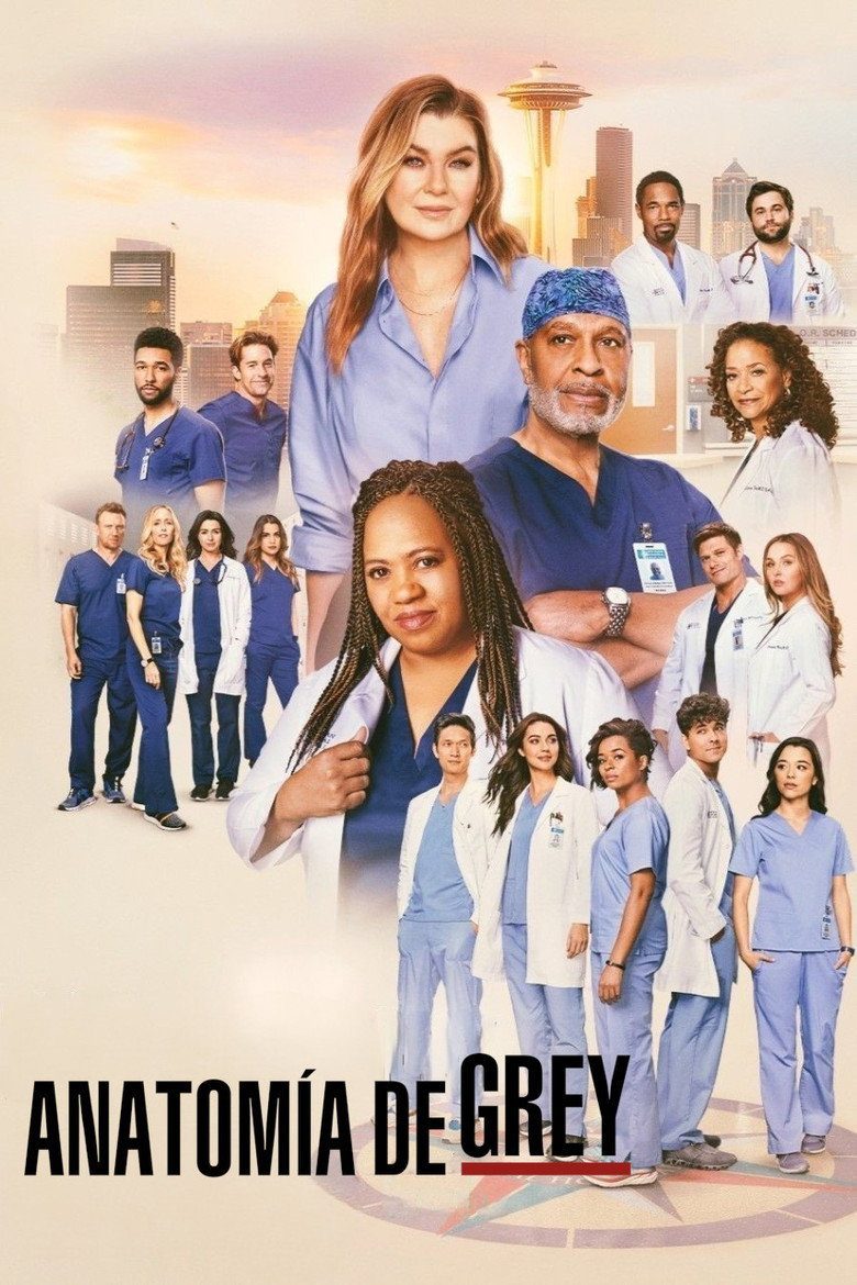 Grey's Anatomy Season 21