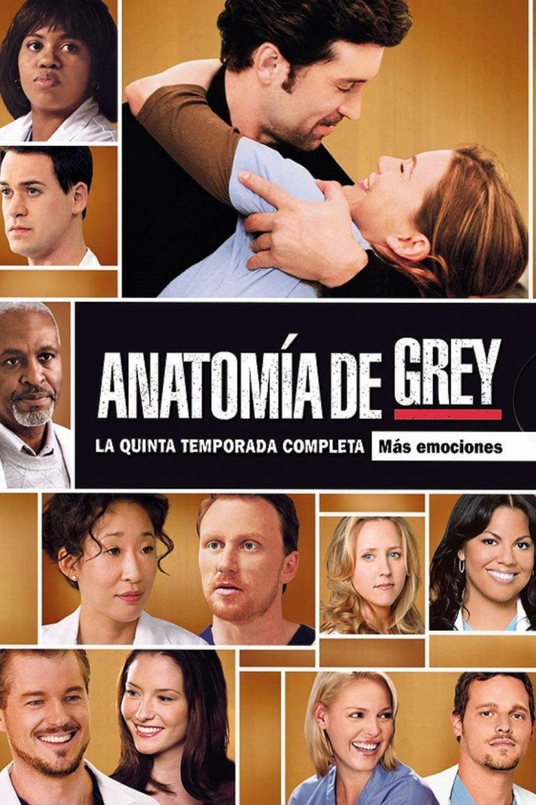 Anatomía según Grey Temporada 5
