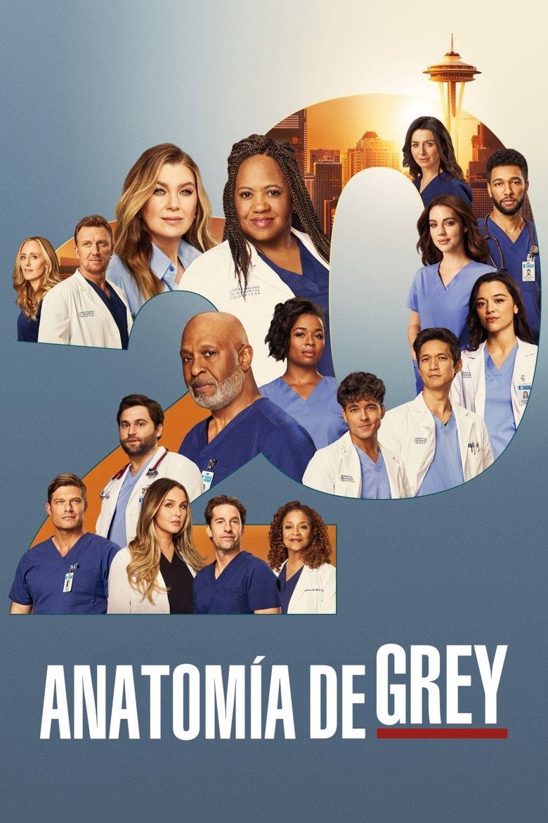 Grey's Anatomy Season 20