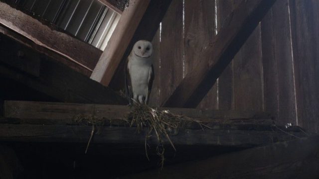 Ghosts S03E01