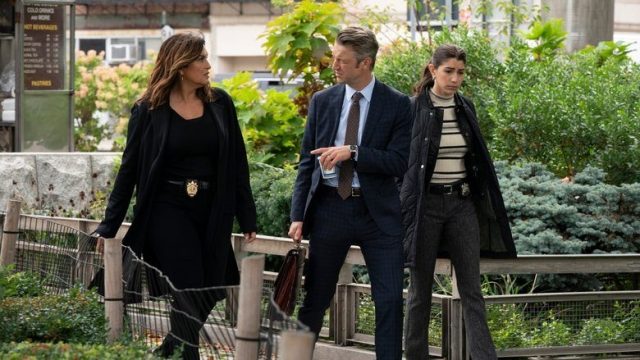 La Ley y el Orden: Unidad de Víctimas Especiales S22E02