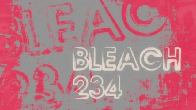 Bleach S01E234