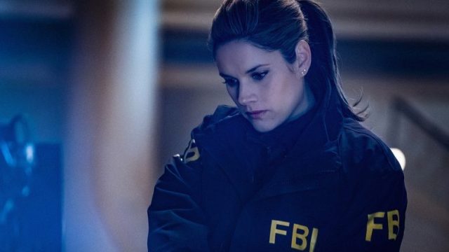 F.B.I. S02E15