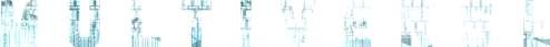 Multiverse