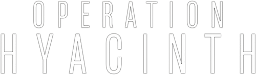 Operación Jacinto