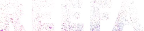 Reefa: El artista