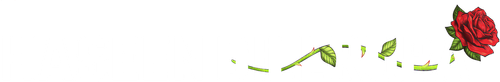 Haseen Dillruba
