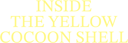 Inside the Yellow Cocoon Shell