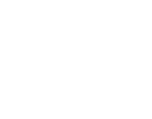 Estudio 54