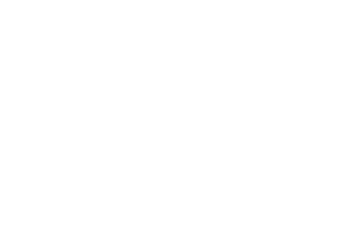 Collide