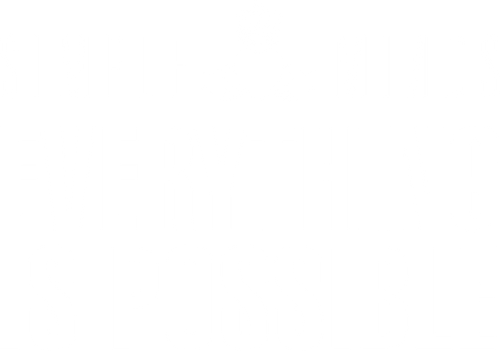 Simple Minds: Everything Is Possible