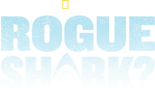 Rogue Shark