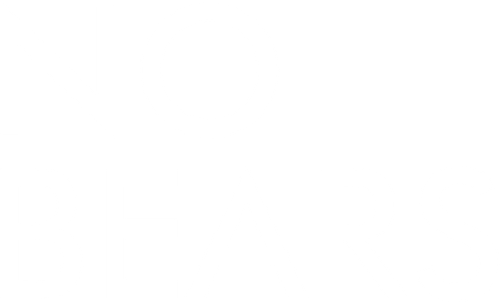 No Bears