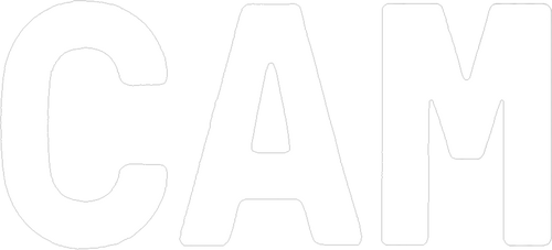 Cam