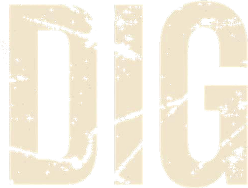 Dig