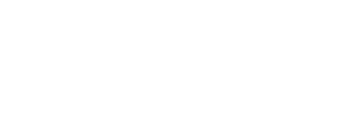 Detective vs. Sleuths