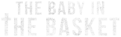 The Baby in the Basket