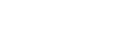 The Assistant