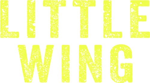 Little Wing